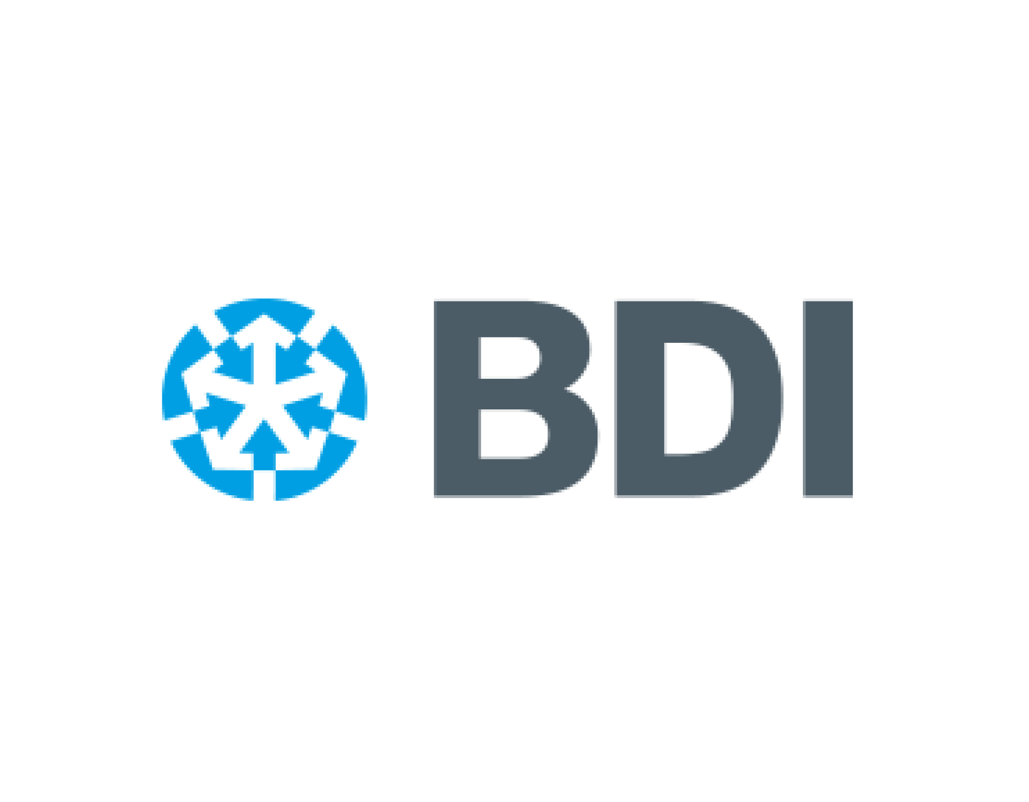 Partner Logo